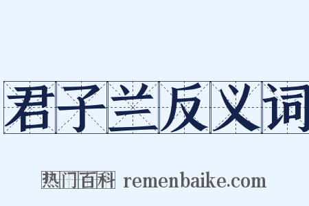君子兰反义词是什么意思的图片